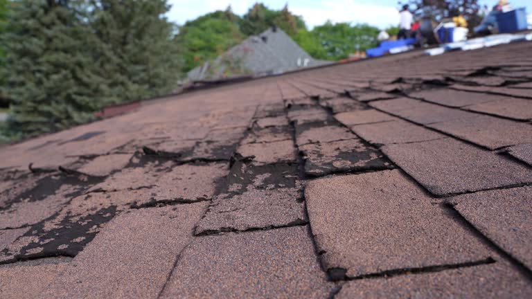 Best Hot Roofs  in Berwyn, IL